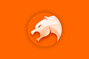 猎豹浏览器 6.5.115.19871 正式版 + 8.0.0.22581 正式版 + 9.0.112.22636 正式版 - 剔除驱动优化版-QiuQuan's Blog